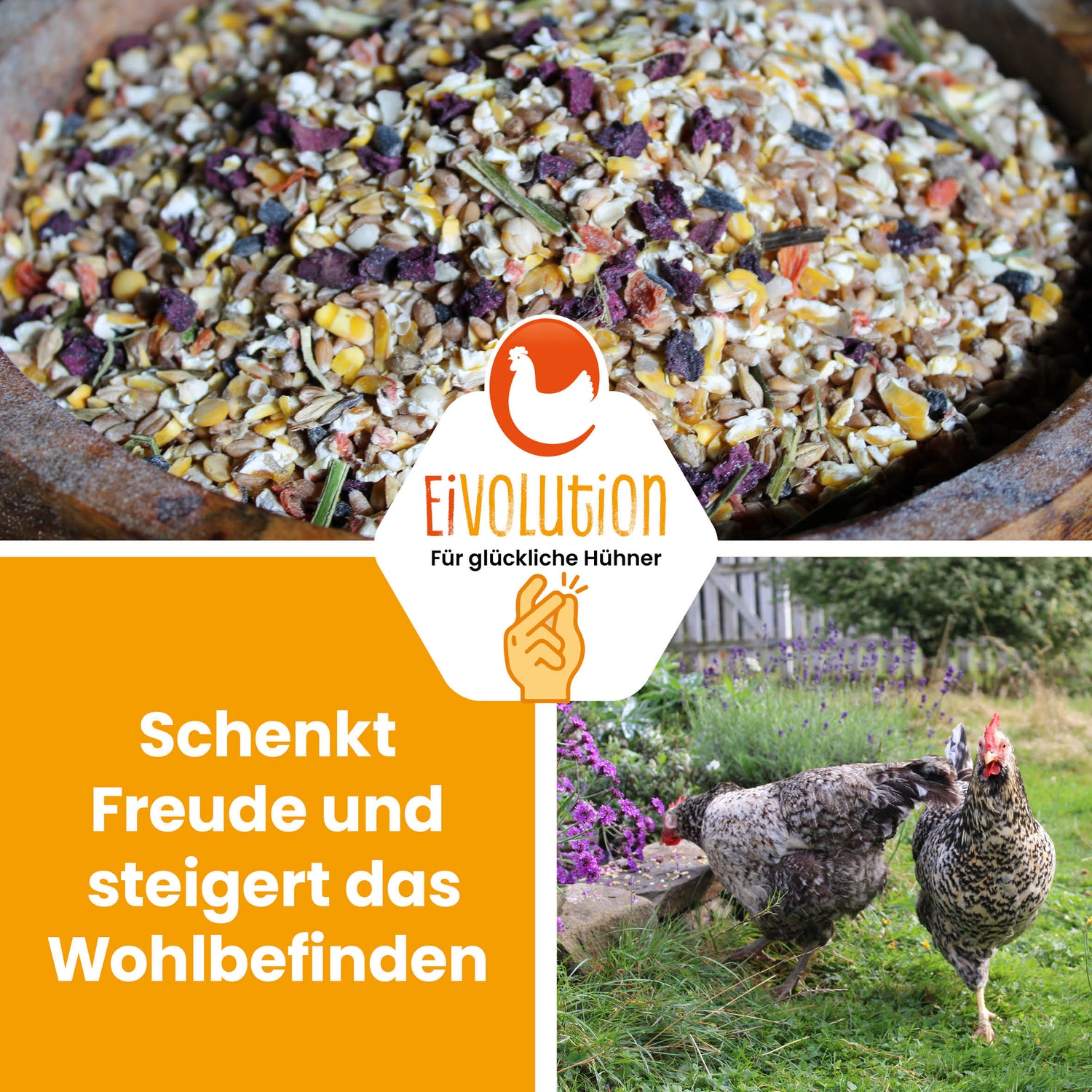 VitalPick – abwechslungsreiches Futter mit Gemüsechips &amp; Körnern
