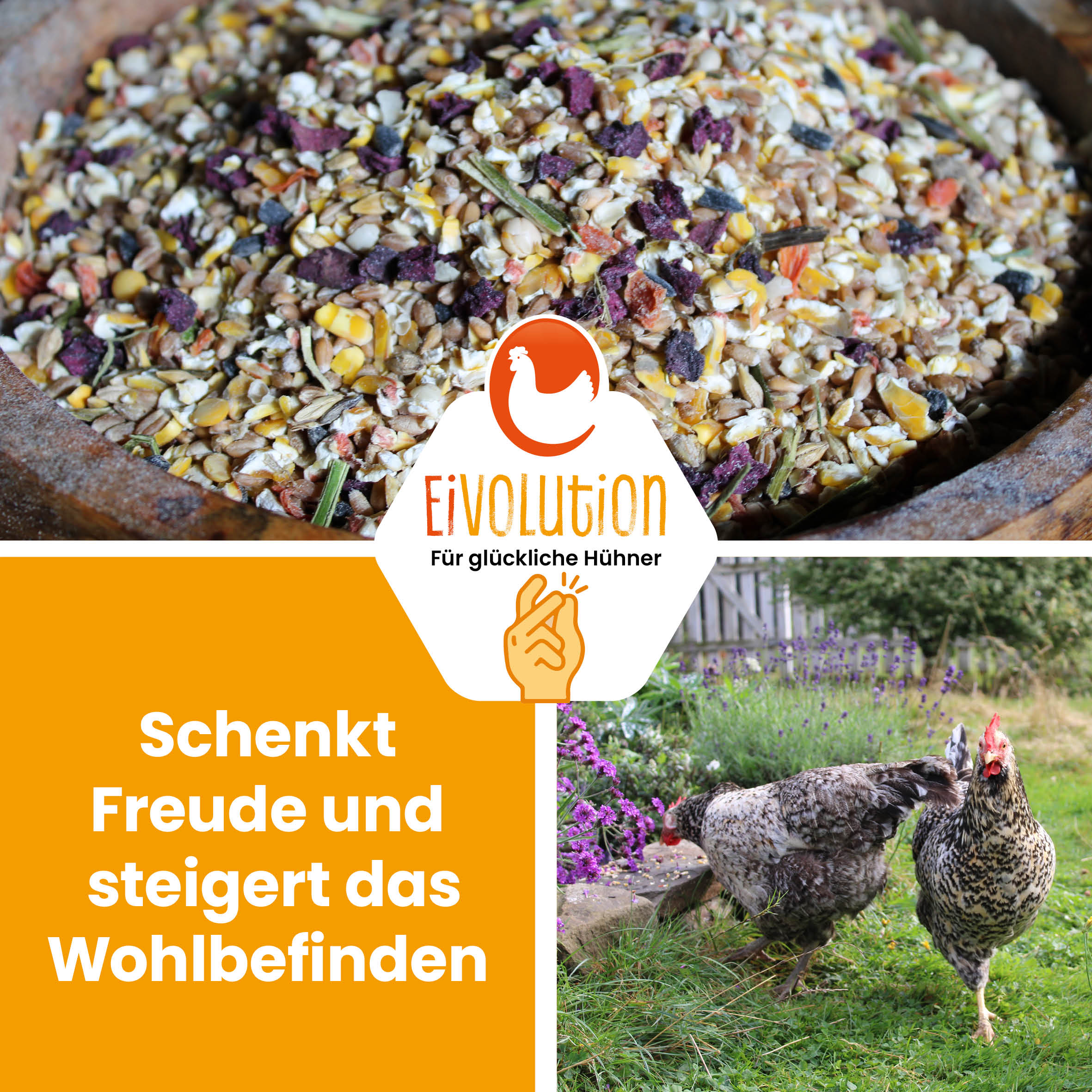 VitalPick – abwechslungsreiches Futter mit Gemüsechips &amp; Körnern