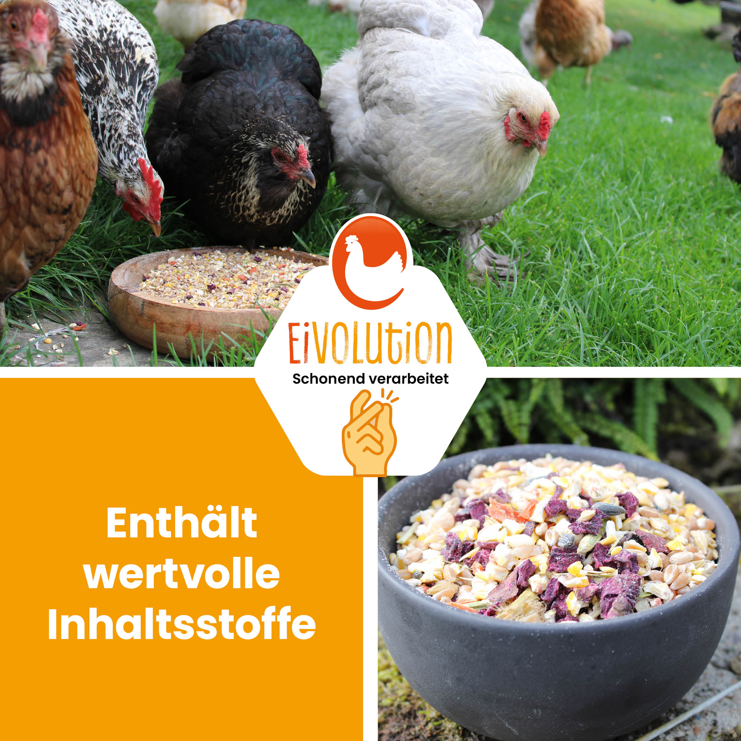 VitalPick – abwechslungsreiches Futter mit Gemüsechips &amp; Körnern