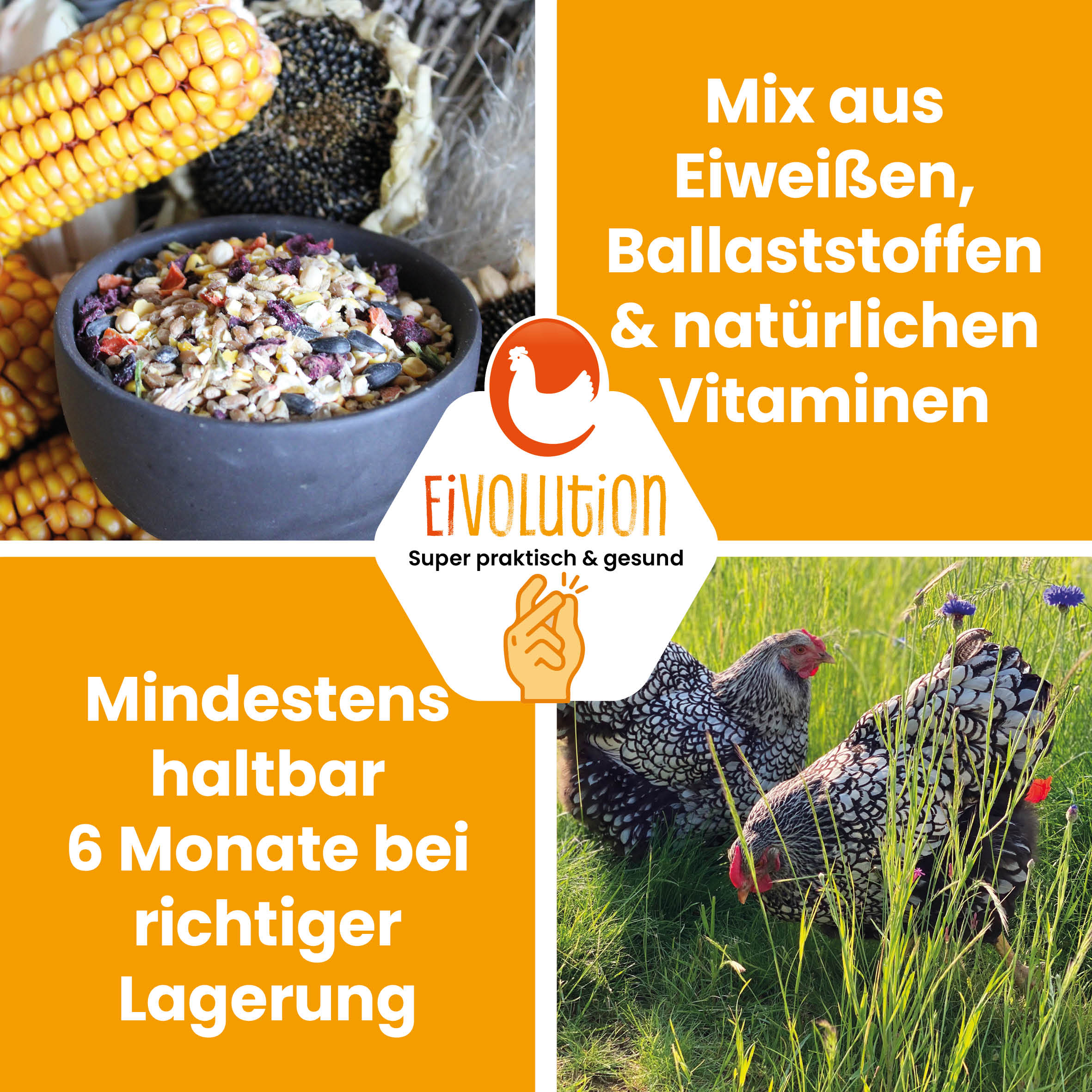 VitalPick – abwechslungsreiches Futter mit Gemüsechips &amp; Körnern
