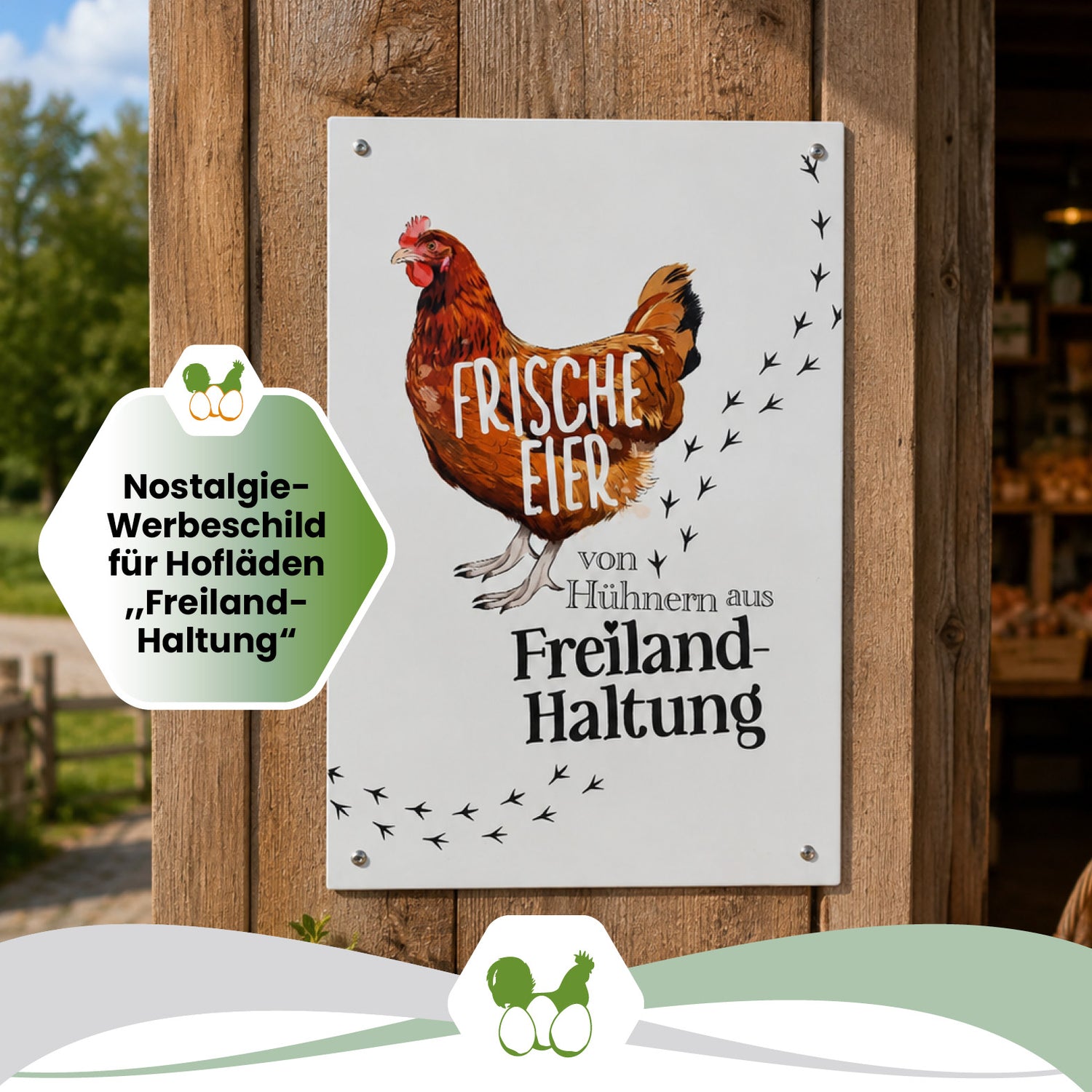 Alu-Schild Huhn „Frische Eier aus Freilandhaltung“, 21 x 29,7 cm