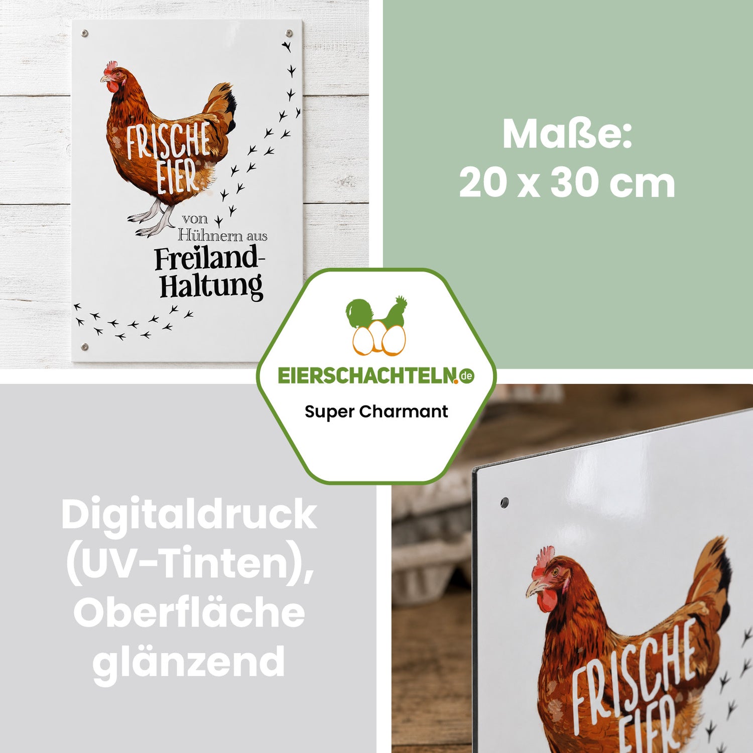 Alu-Schild Huhn „Frische Eier aus Freilandhaltung“, 21 x 29,7 cm