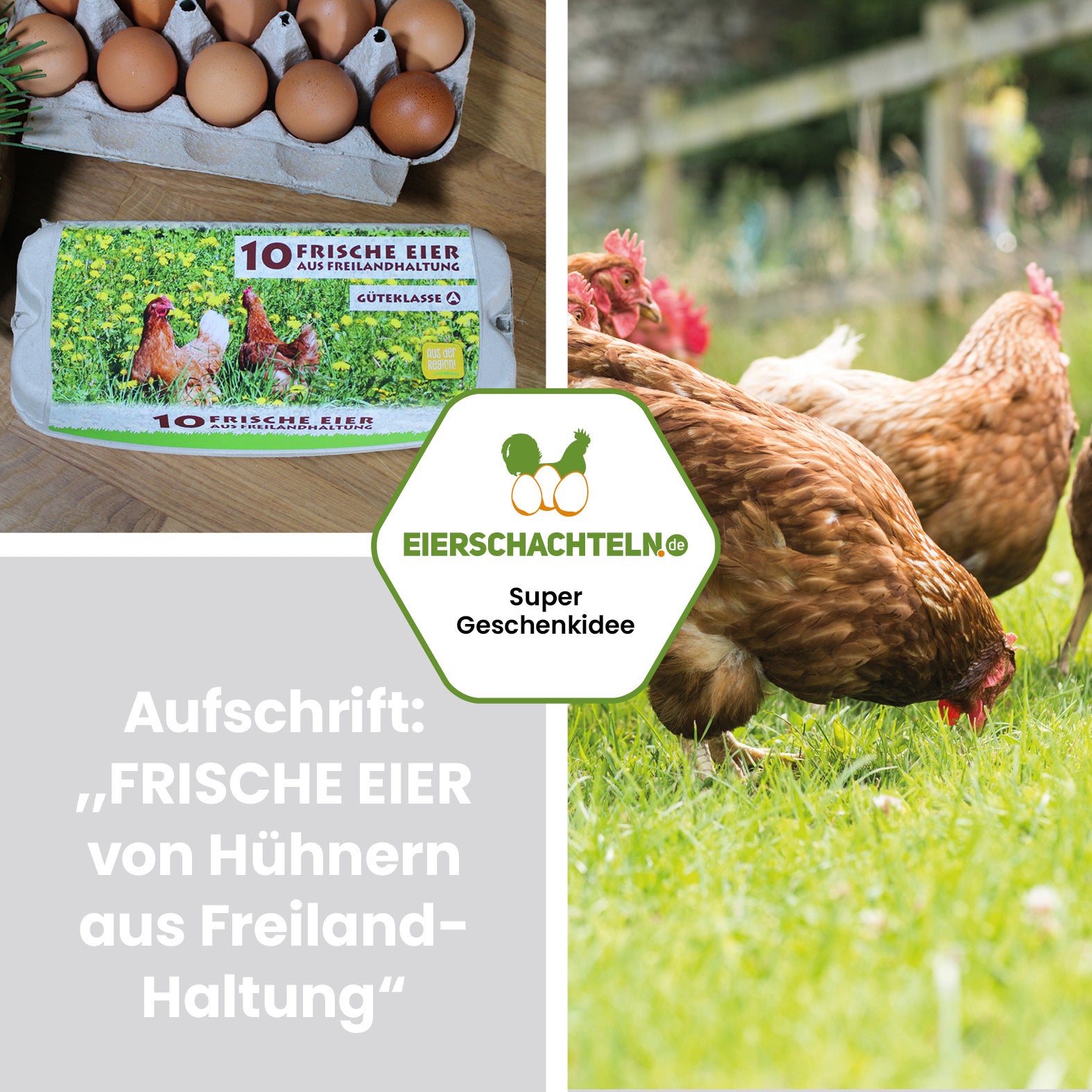 Alu-Schild Huhn „Frische Eier aus Freilandhaltung“, 21 x 29,7 cm