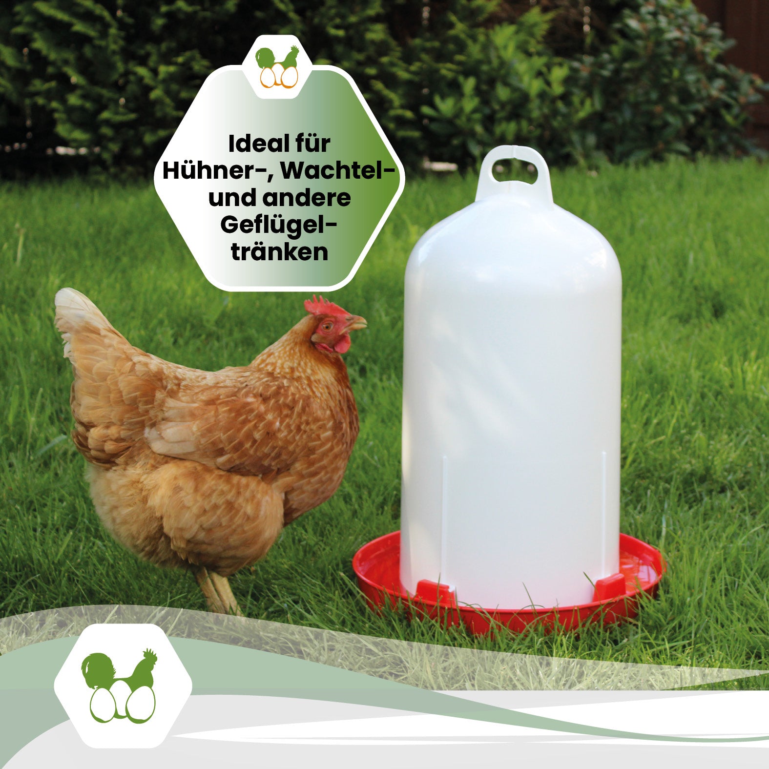 silvertex® Anti-Keim-Matte 5 × 5 cm für Geflügeltränken bis 25 Liter