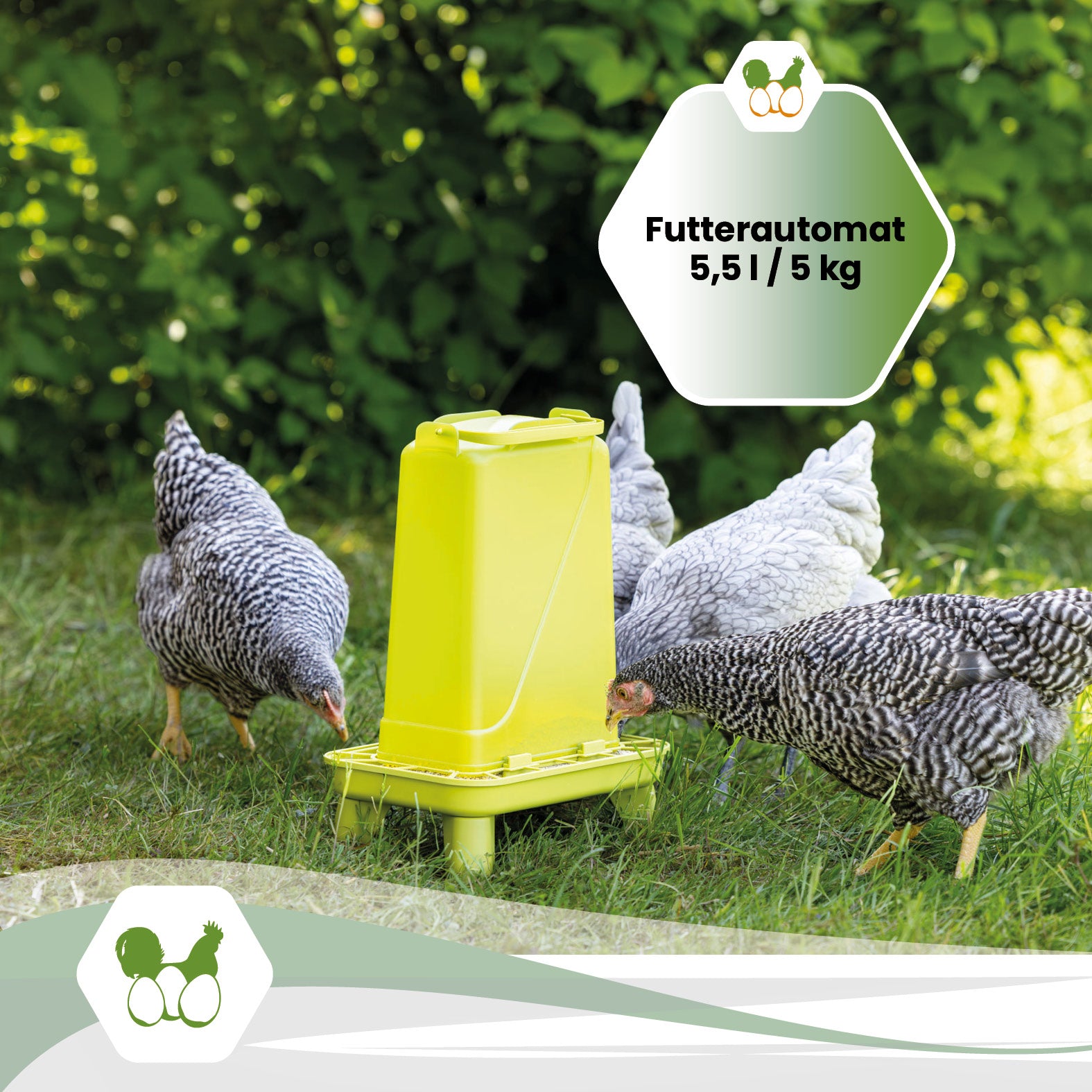 Futterautomat mit Standfüßen 5 kg in Grün oder Pink für Hühner und Geflügel