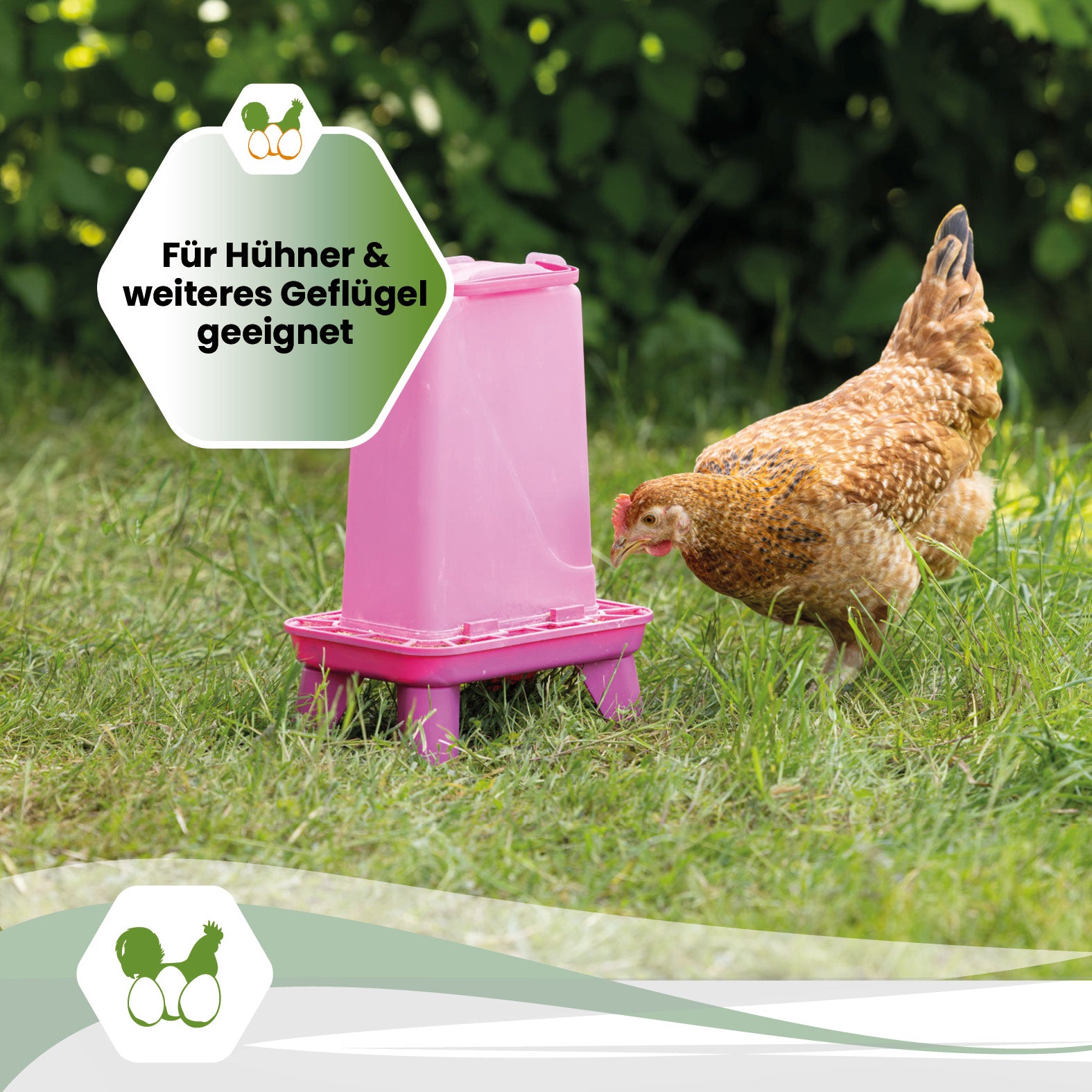 Futterautomat mit Standfüßen 5 kg in Grün oder Pink für Hühner und Geflügel
