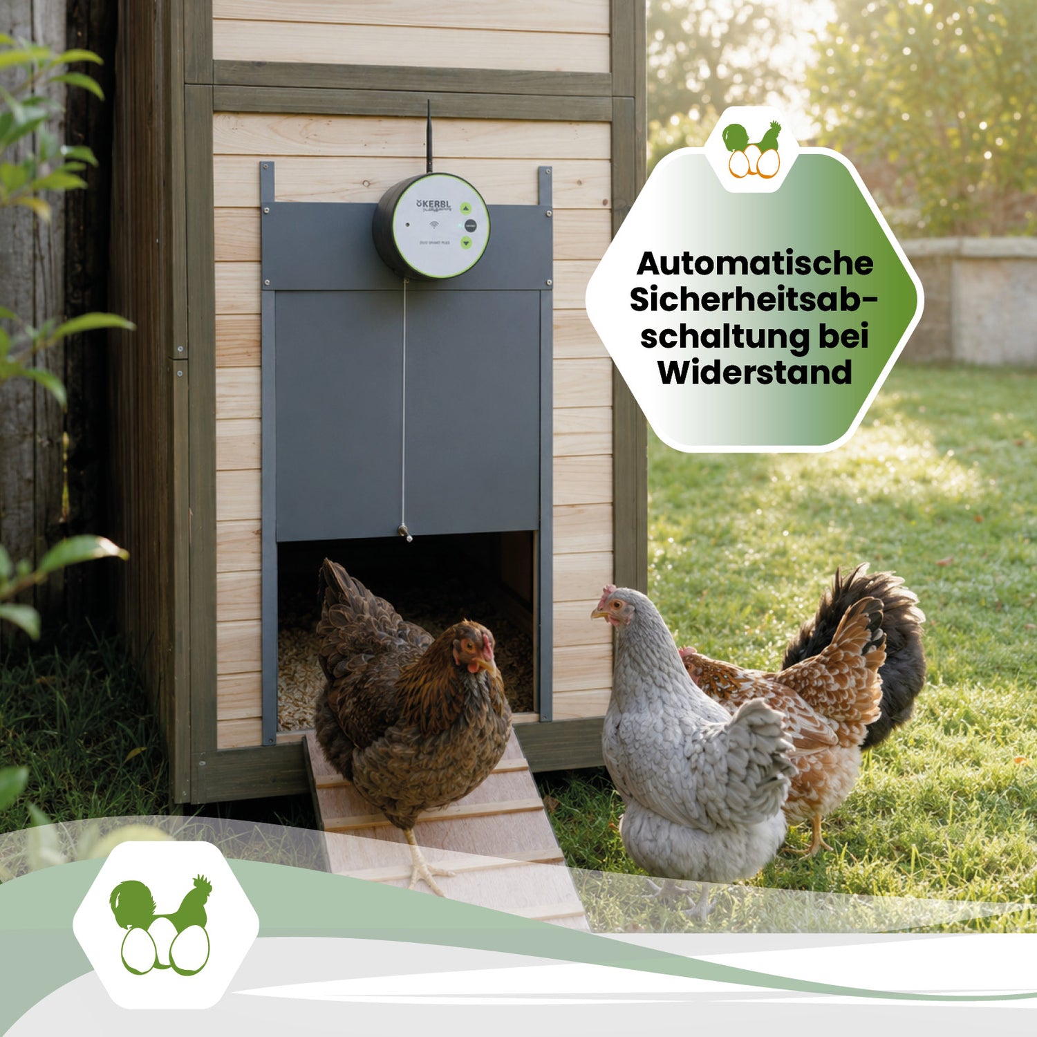 Automatische Hühnertür Duo Pro Plus Komplettset - zwei Farben