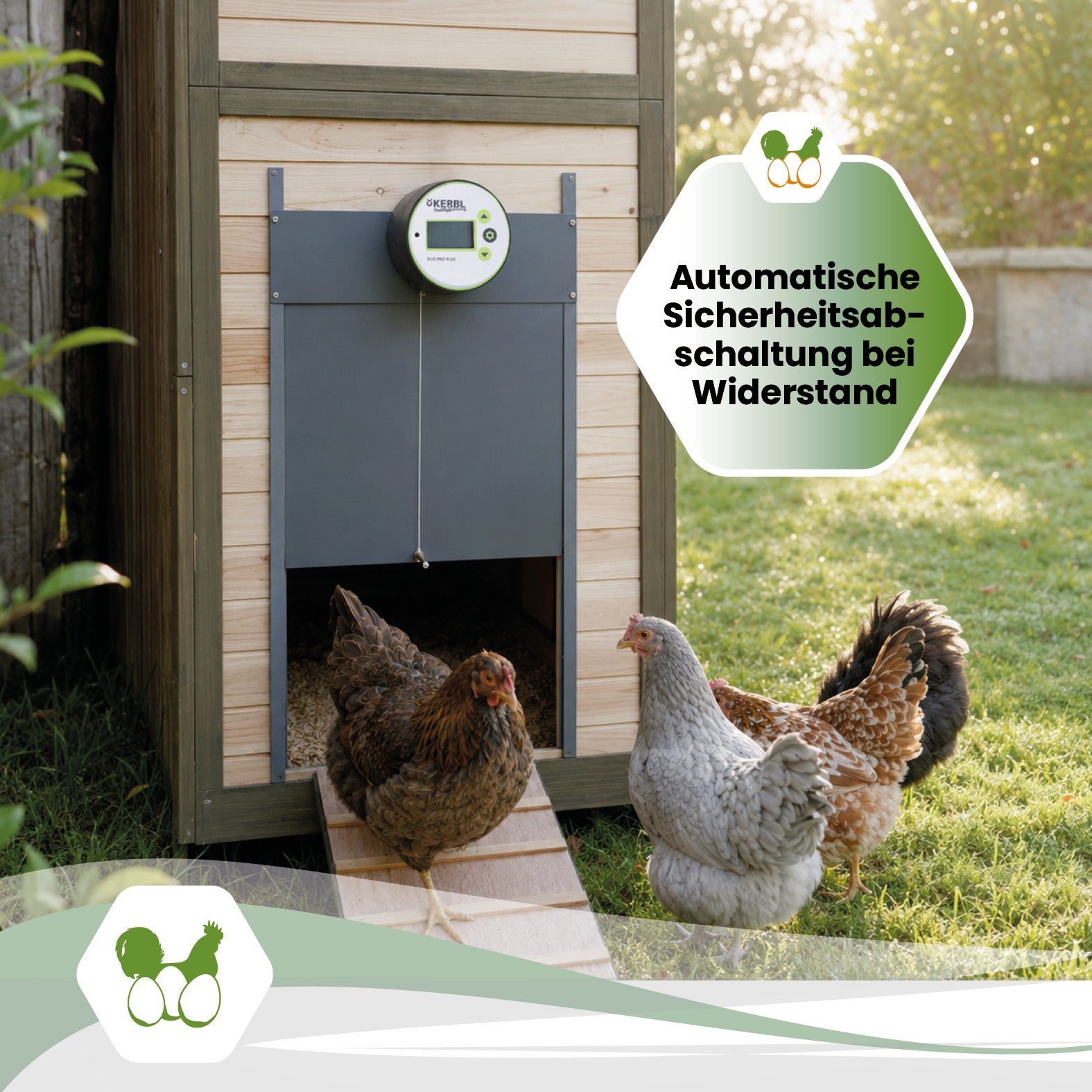 Automatische Hühnertür Duo Pro Plus Komplettset - zwei Farben
