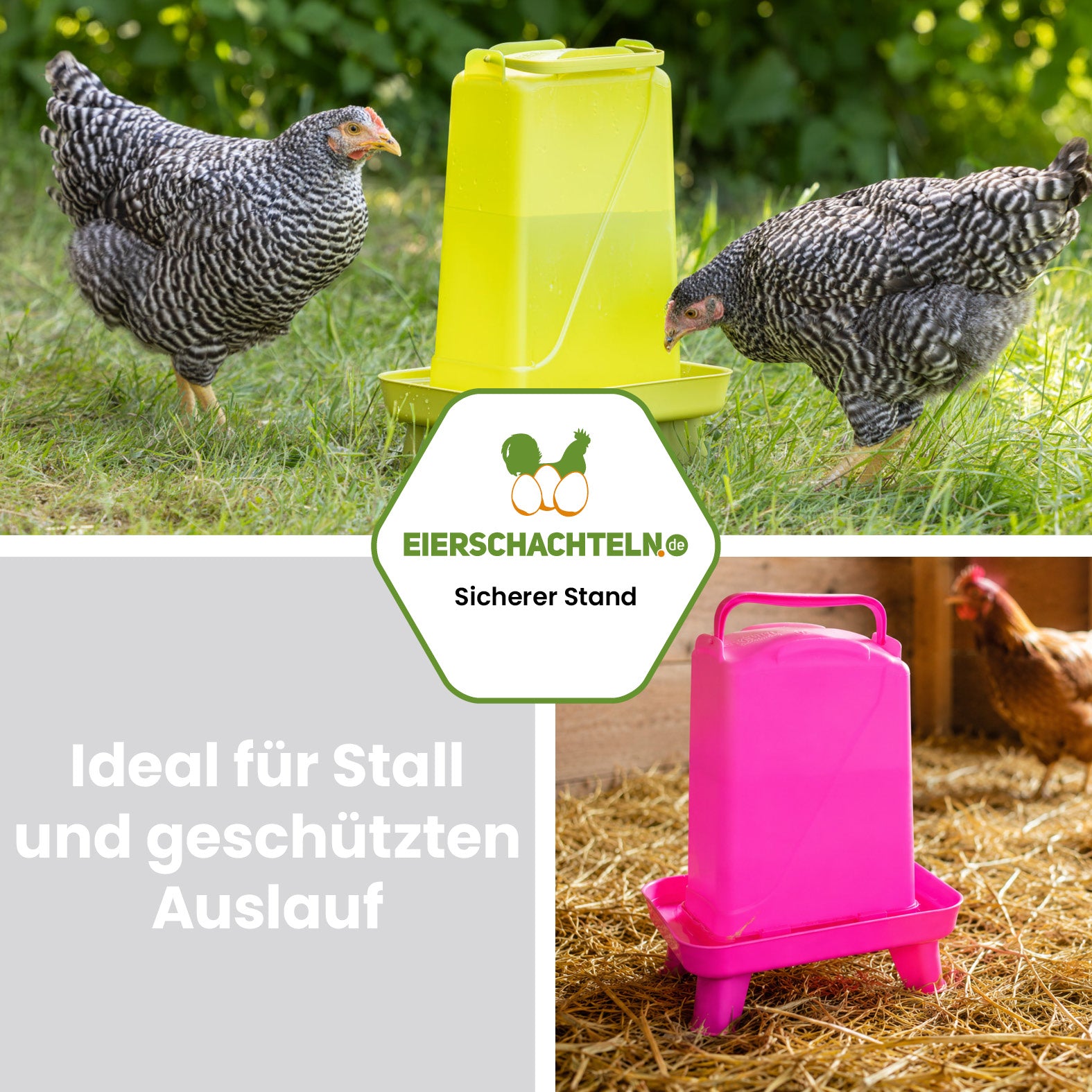 Kunststofftränke mit Standfüßen 5,5 Liter in Grün oder Pink für Hühner und Geflügel