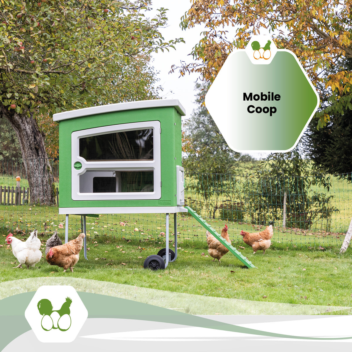 Mobile Coop – Mobiler Hühnerstall für eine flexible und artgerechte Hühnerhaltung