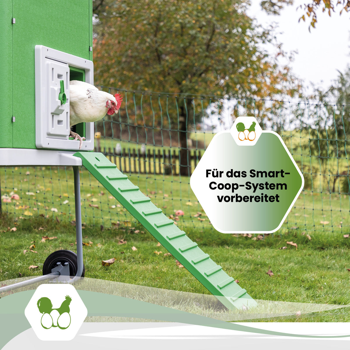 Mobile Coop – Mobiler Hühnerstall für eine flexible und artgerechte Hühnerhaltung