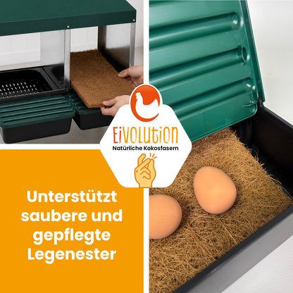 Nestmatte aus Kokosfasern für Legenester und Abrollnester – 20 × 40 cm
