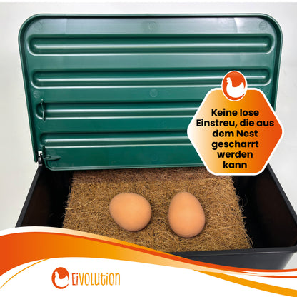 Nestmatte aus Kokosfasern für Legenester und Abrollnester – 20 × 40 cm