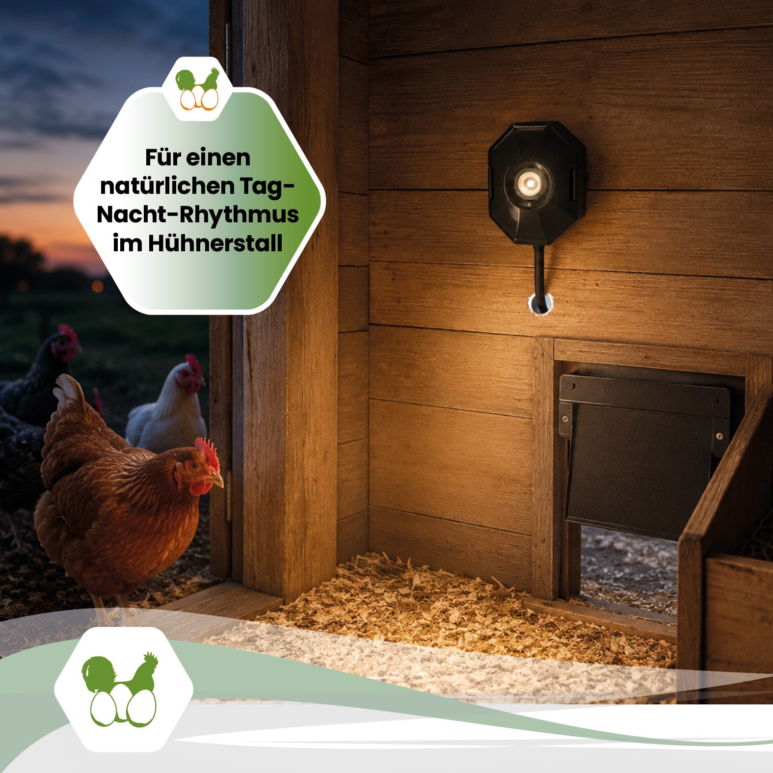SmartCoop LED-Stallbeleuchtung für Hühnerställe