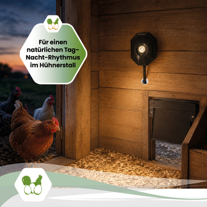 SmartCoop LED-Stallbeleuchtung für Hühnerställe