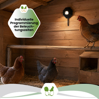 SmartCoop LED-Stallbeleuchtung für Hühnerställe