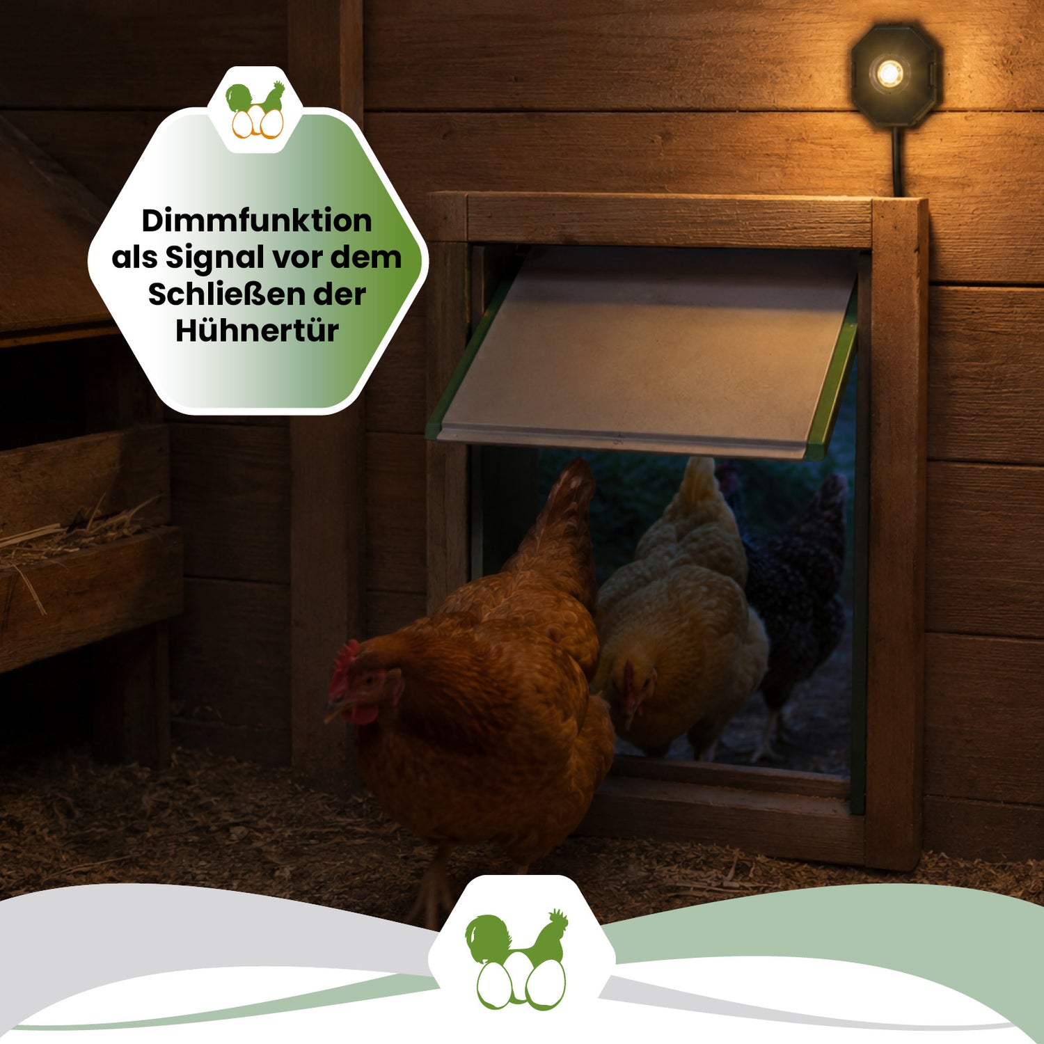 SmartCoop LED-Stallbeleuchtung für Hühnerställe