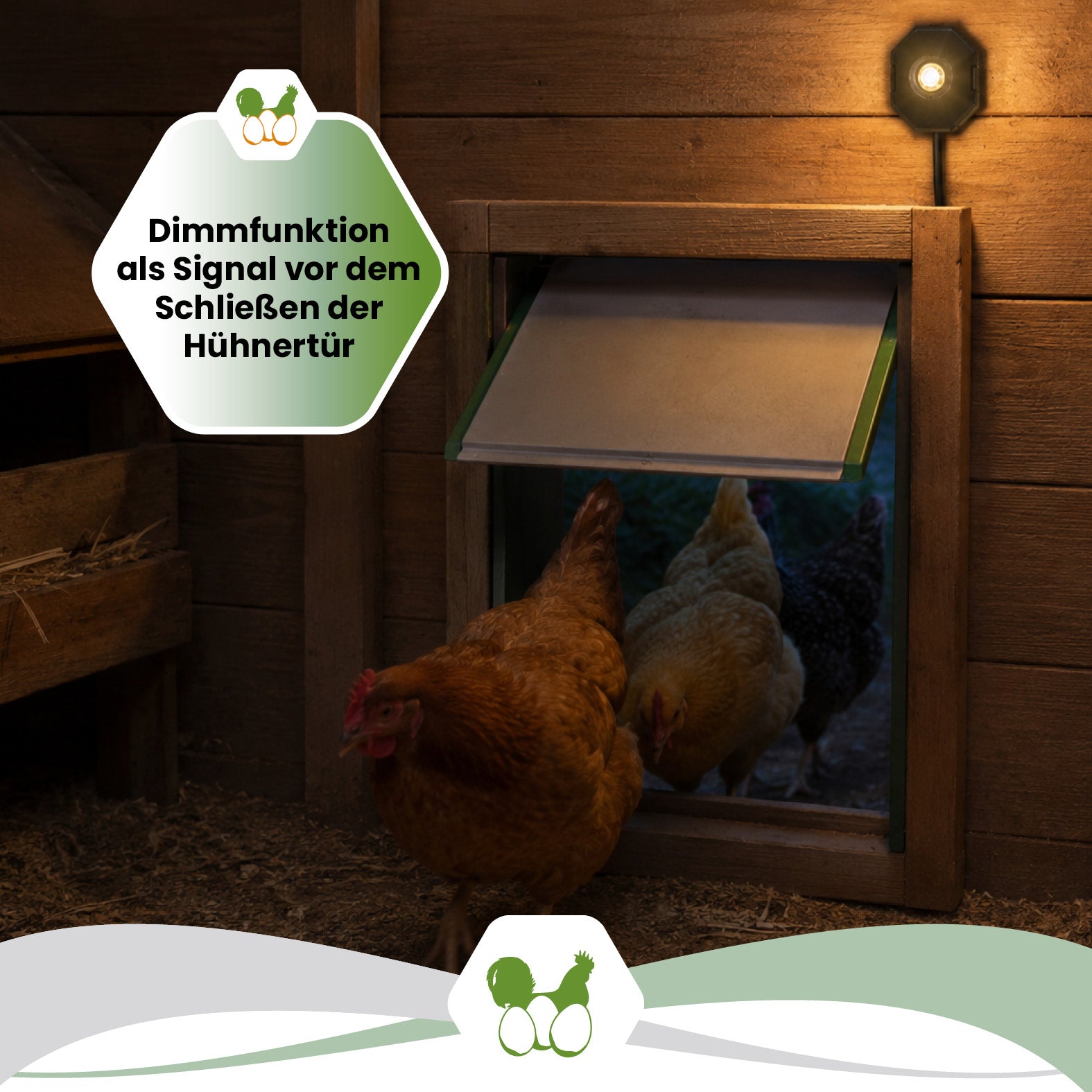 SmartCoop LED-Stallbeleuchtung für Hühnerställe