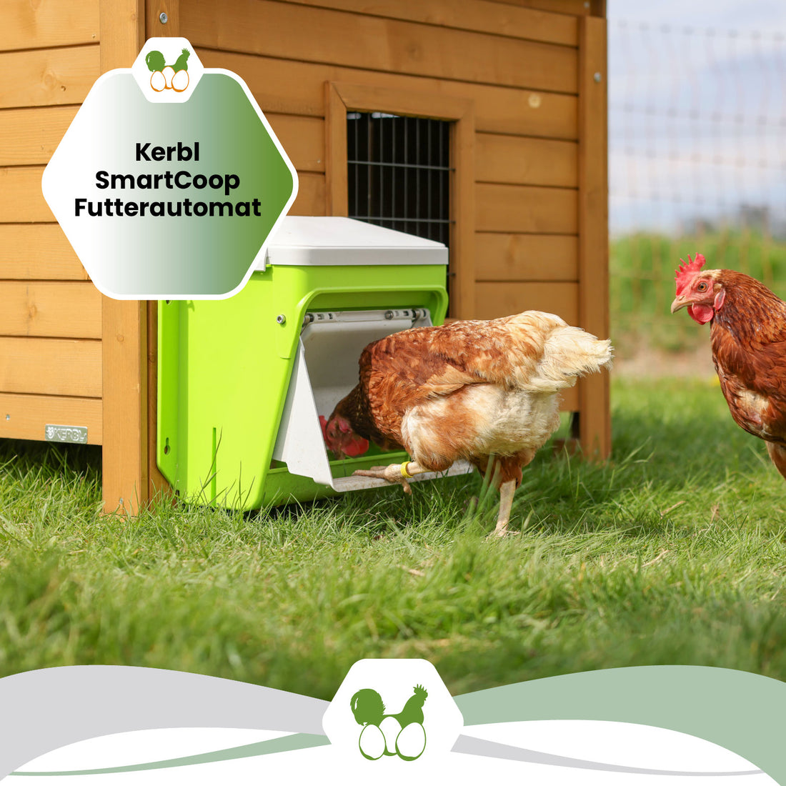 SmartCoop Futterautomat mit Schutzklappe