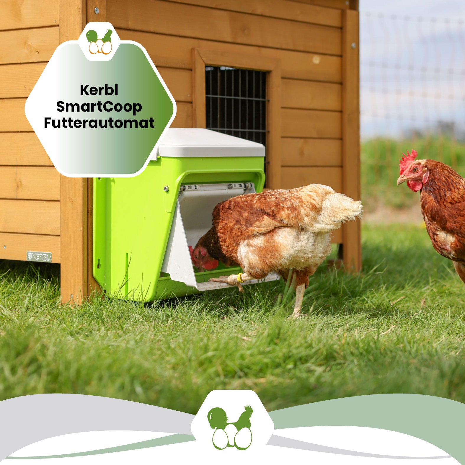 SmartCoop Futterautomat mit Schutzklappe