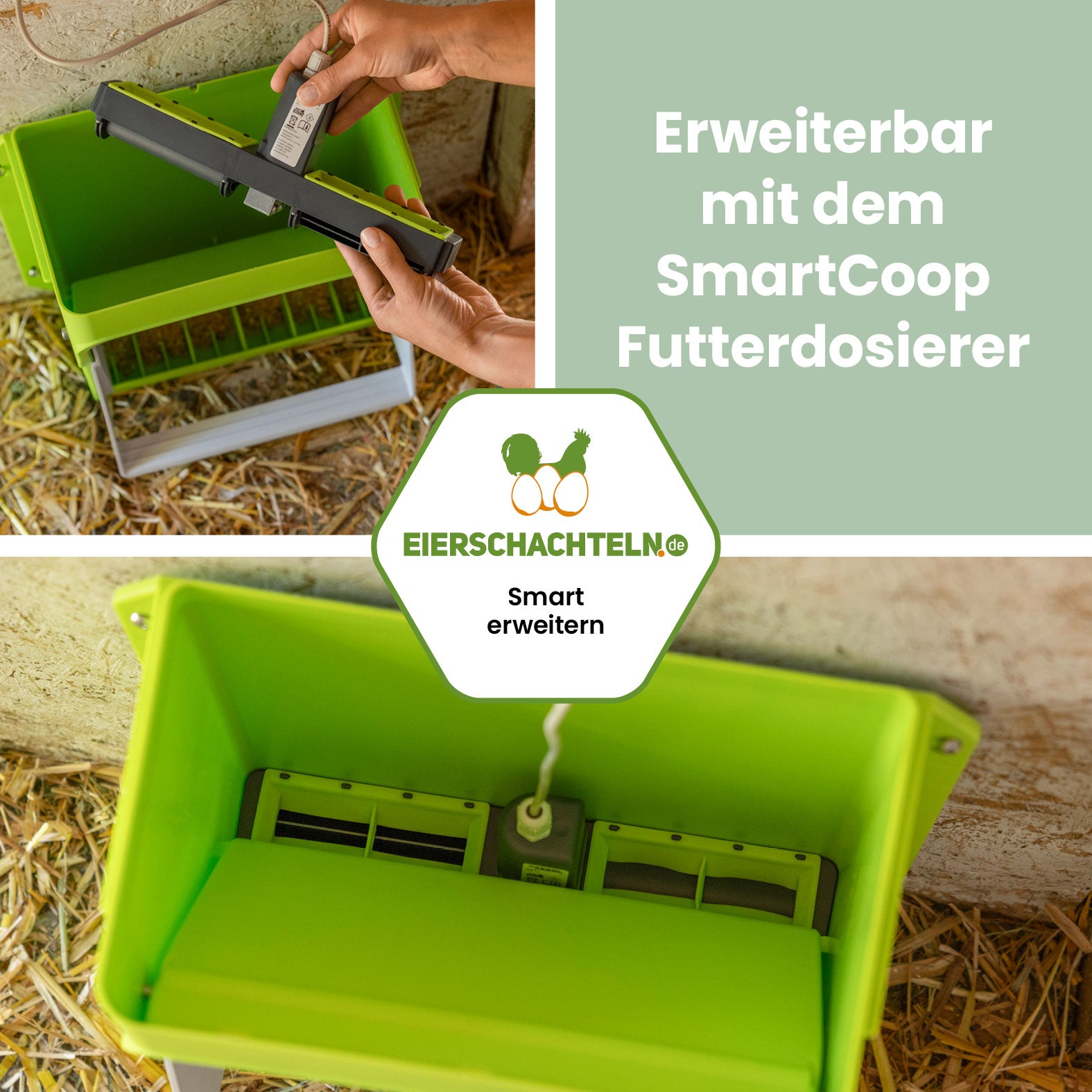 SmartCoop Futterautomat mit Schutzklappe