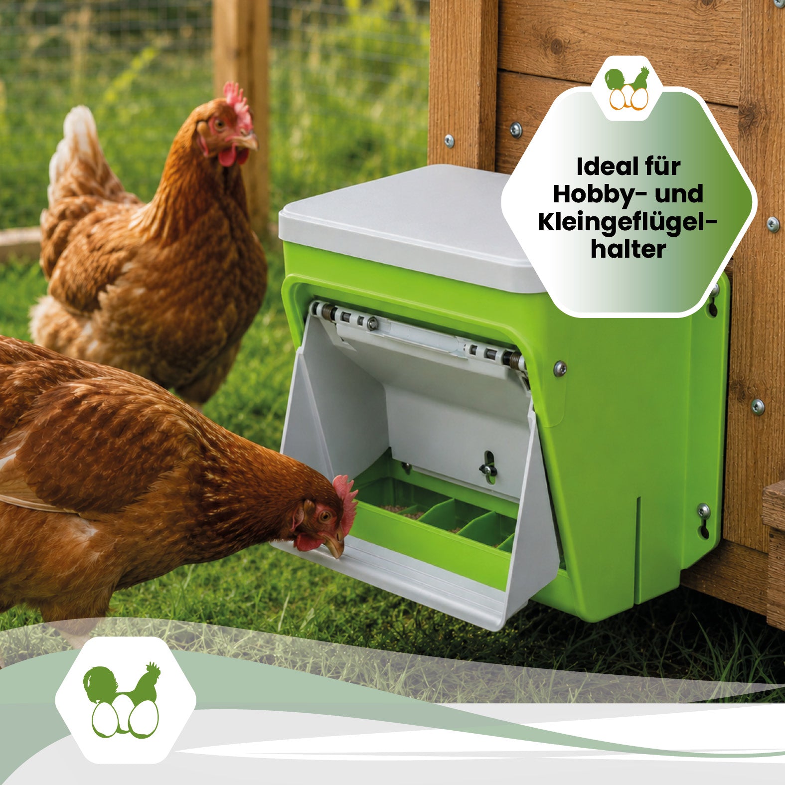SmartCoop Futterautomat mit Schutzklappe