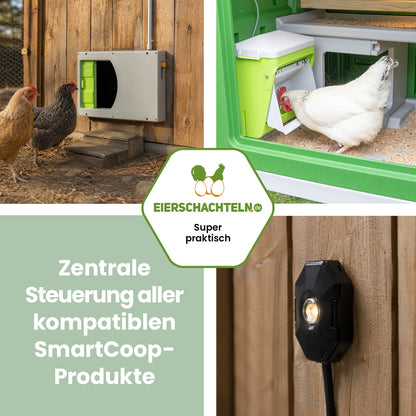 Smart Coop Steuerung für die automatische Stallsteuerung