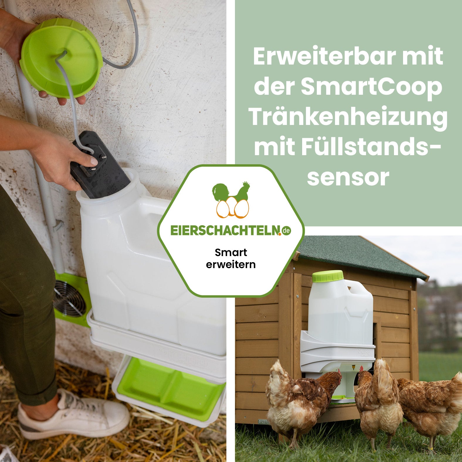 SmartCoop Geflügeltränke für Hühner