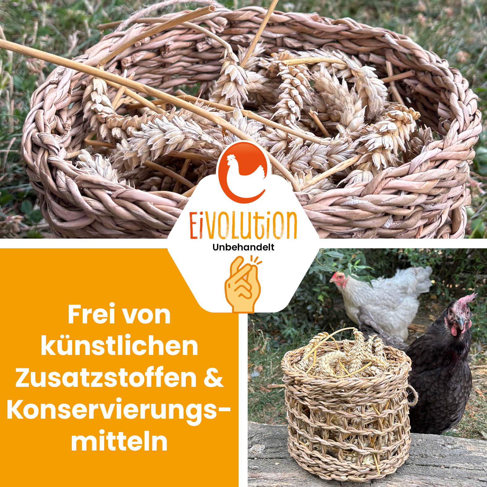 Weizenähren "Frei von künstlichen Zusatzstoffen &amp; Konservierungsmitteln"