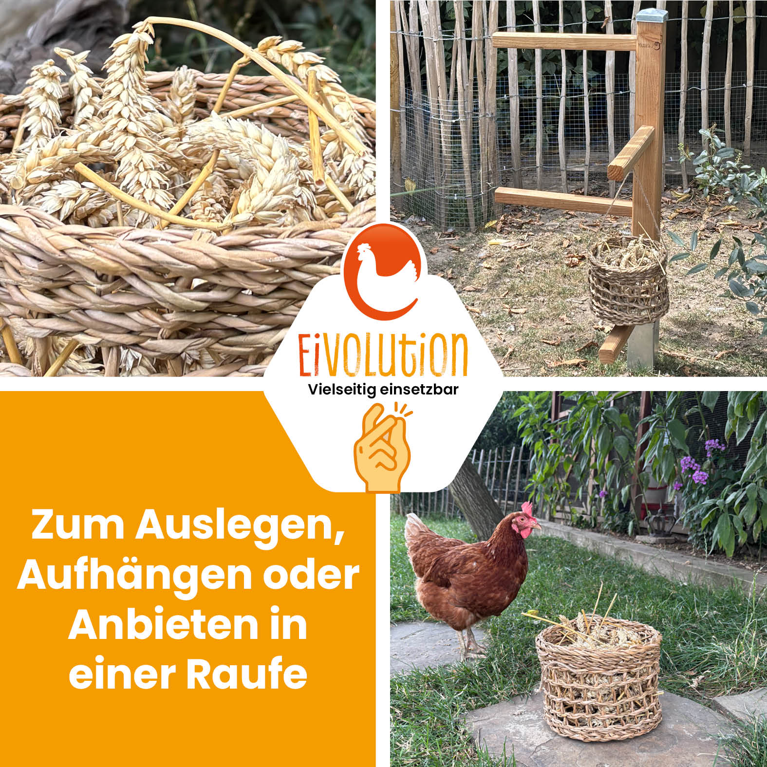 Weizenähren "Zum Auslegen, Aufhängen oder Anbieten in einer Raufe"