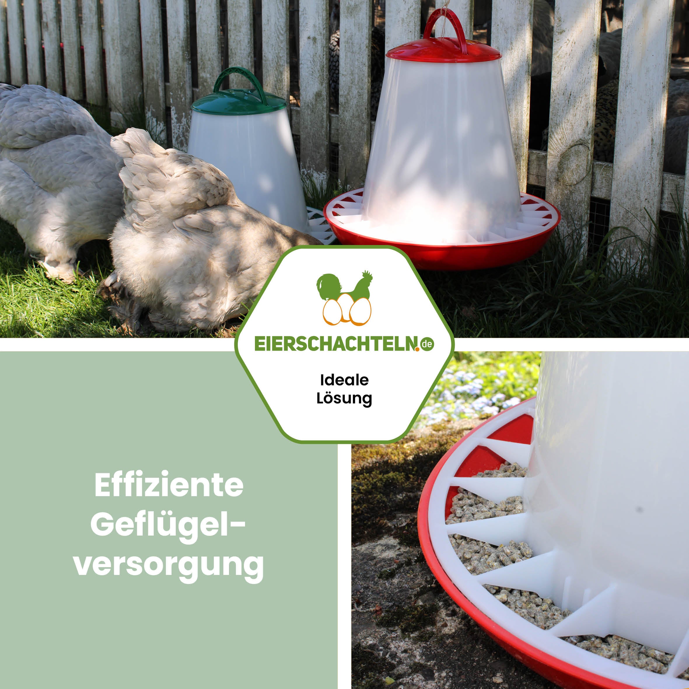 Geflügelfutterautomat 6 kg grün und rot "Effiziente Geflügelversorgung"