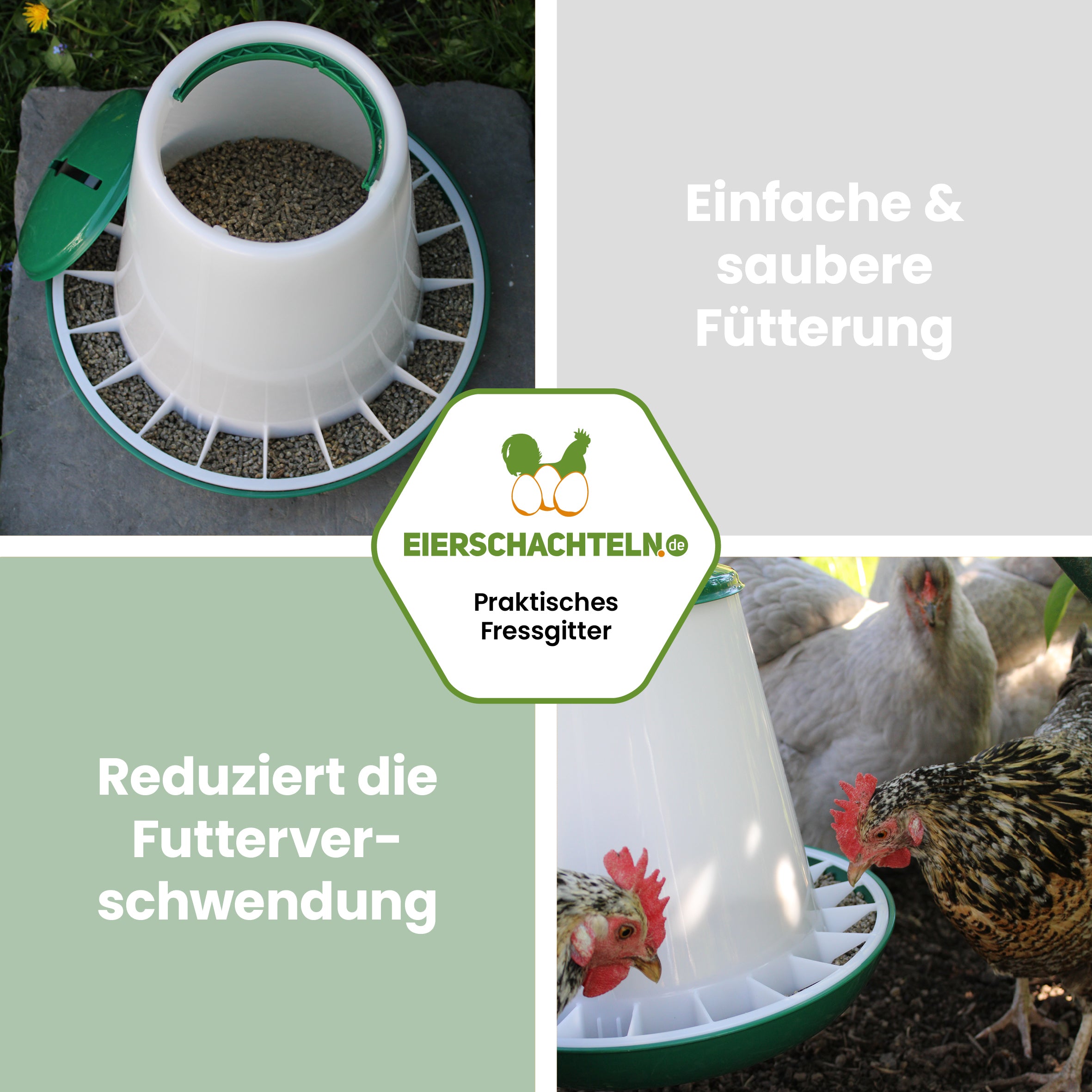 Geflügelfutterautomat 6 kg grün und rot "Einfache &amp; saubere Fütterung reduziert dir Futterverschwendung"