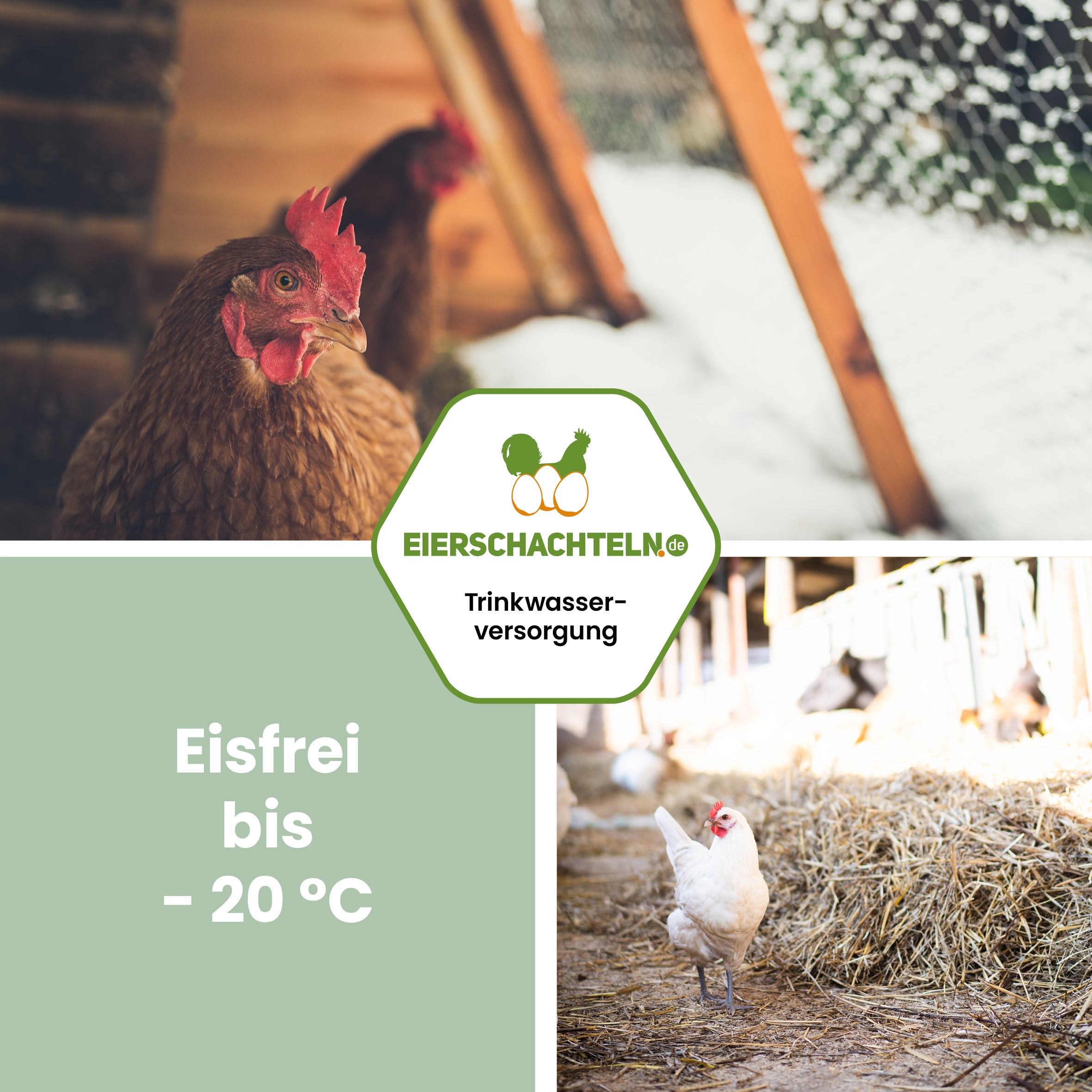 HEKA Tränkenwärmer mit Thermostat "Eisfrei bis - 20 °C"