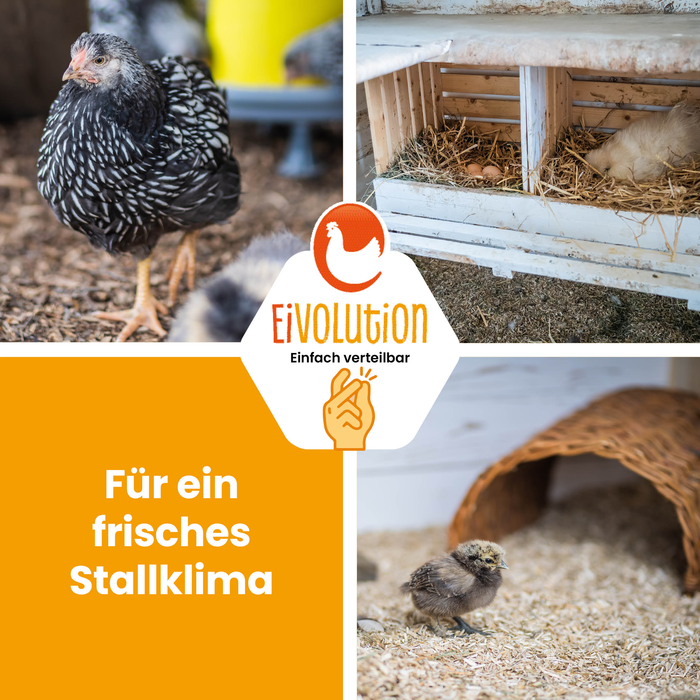 Hanfeinstreu-Ballen "Für ein frisches Stallklima" 