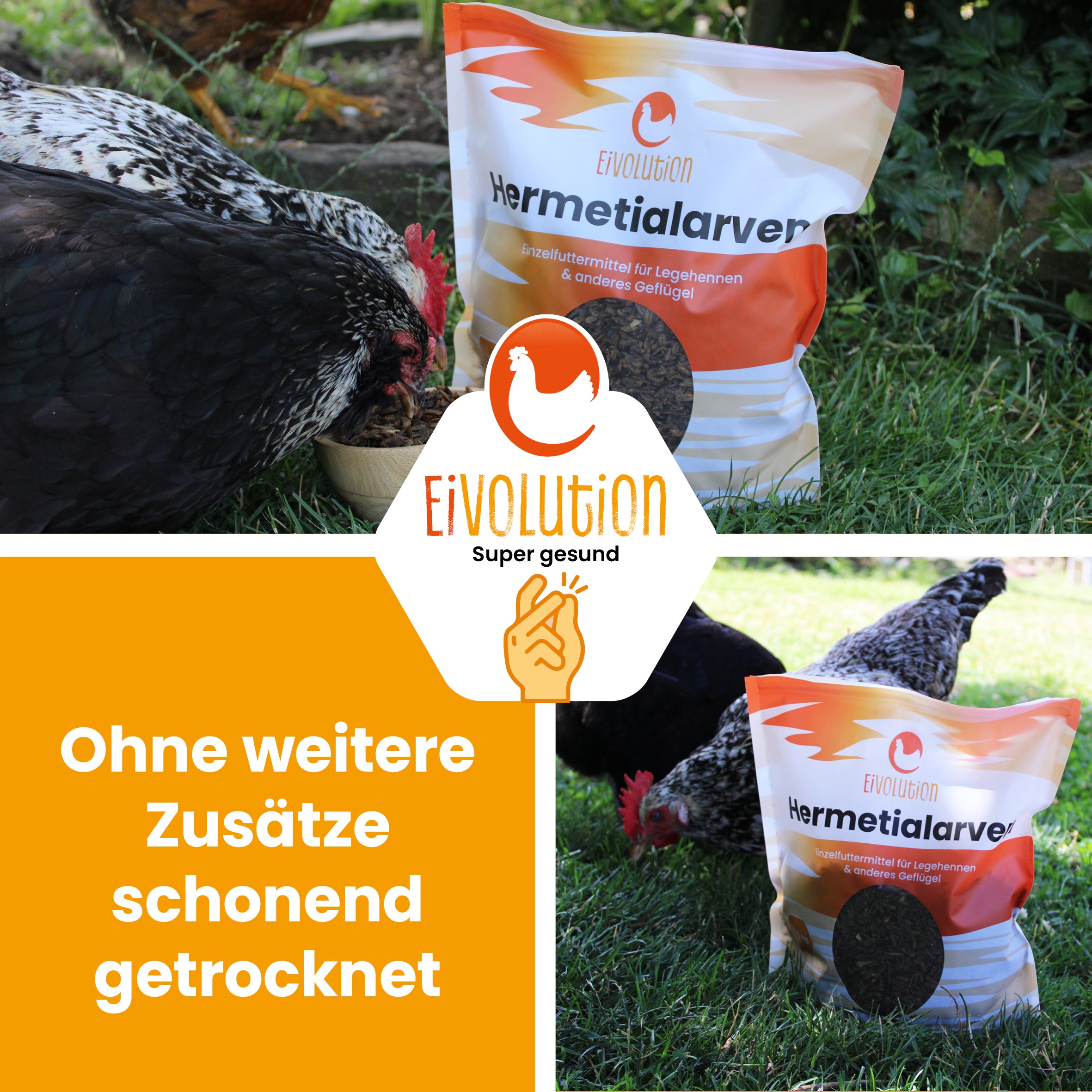 Getrocknete Hermetialarven "Ohne weitere Zusätze schonend getrocknet" 