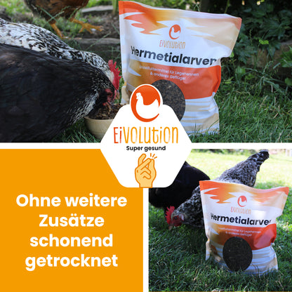 Getrocknete Hermetialarven "Ohne weitere Zusätze schonend getrocknet" 