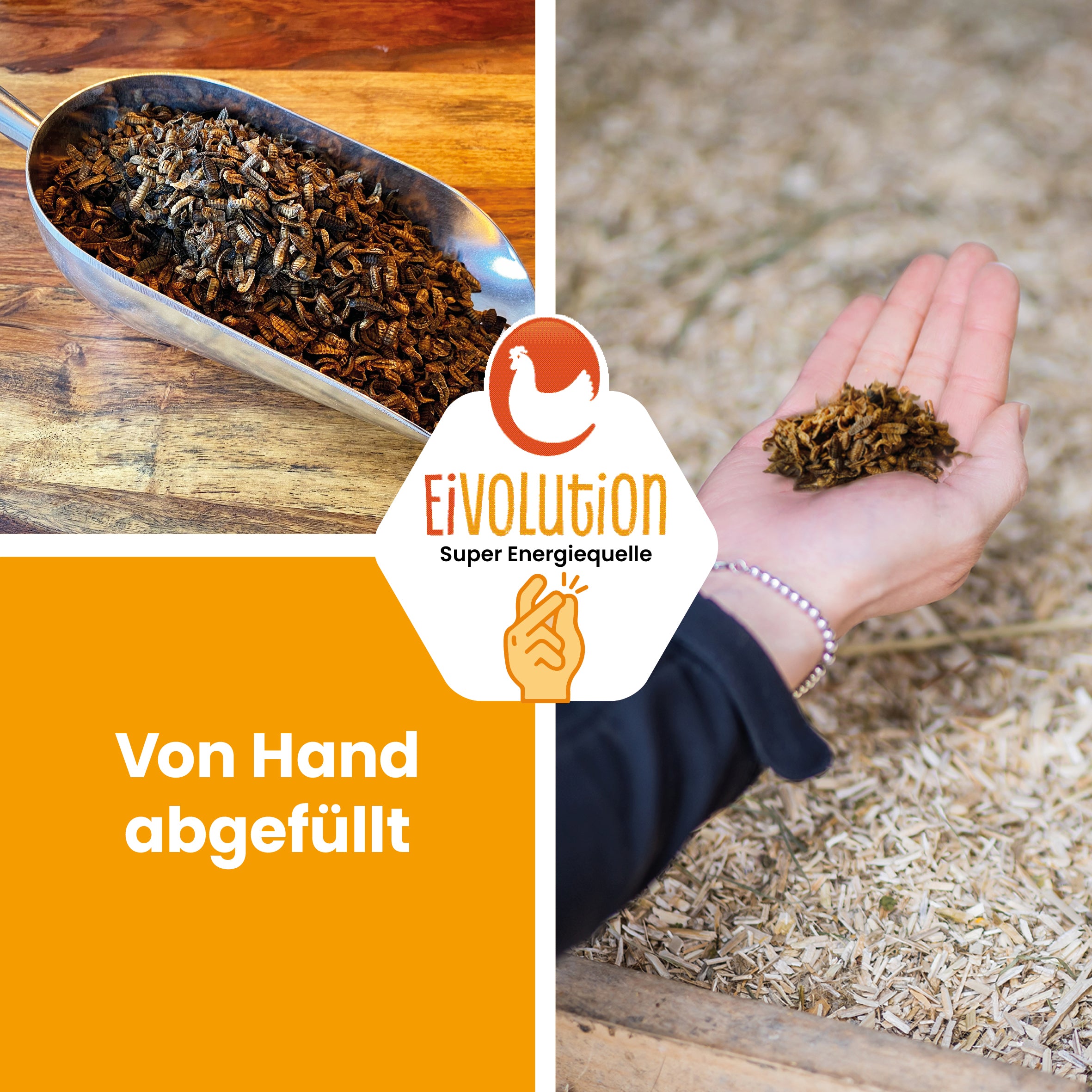 Getrocknete Hermetialarven "Von Hand abgefüllt" 