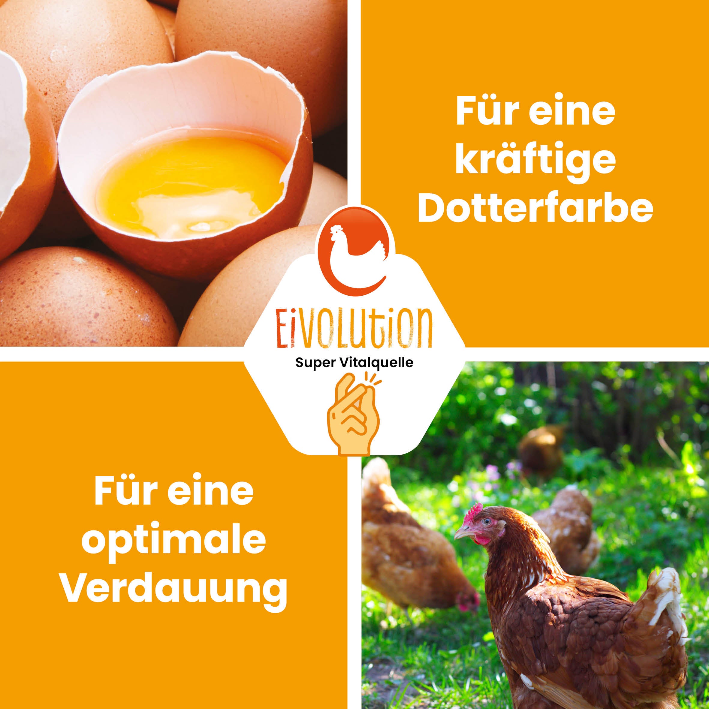 Bio-Hühnerfutter und Wachtelfutter Pellets "Für eine kräftige Dotterfarbe, für eine optimale Verdauung" 