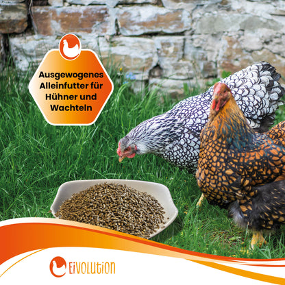 Pellets Bio-Hühnerfutter, 800 g Beutel