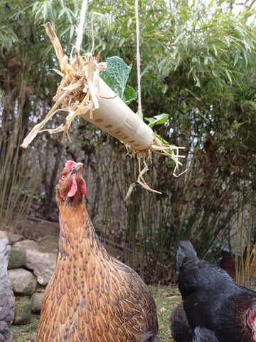 Mehlwurm Pickspaß aus Bambus zur Hühnerbeschäftigung – eierschachteln.de