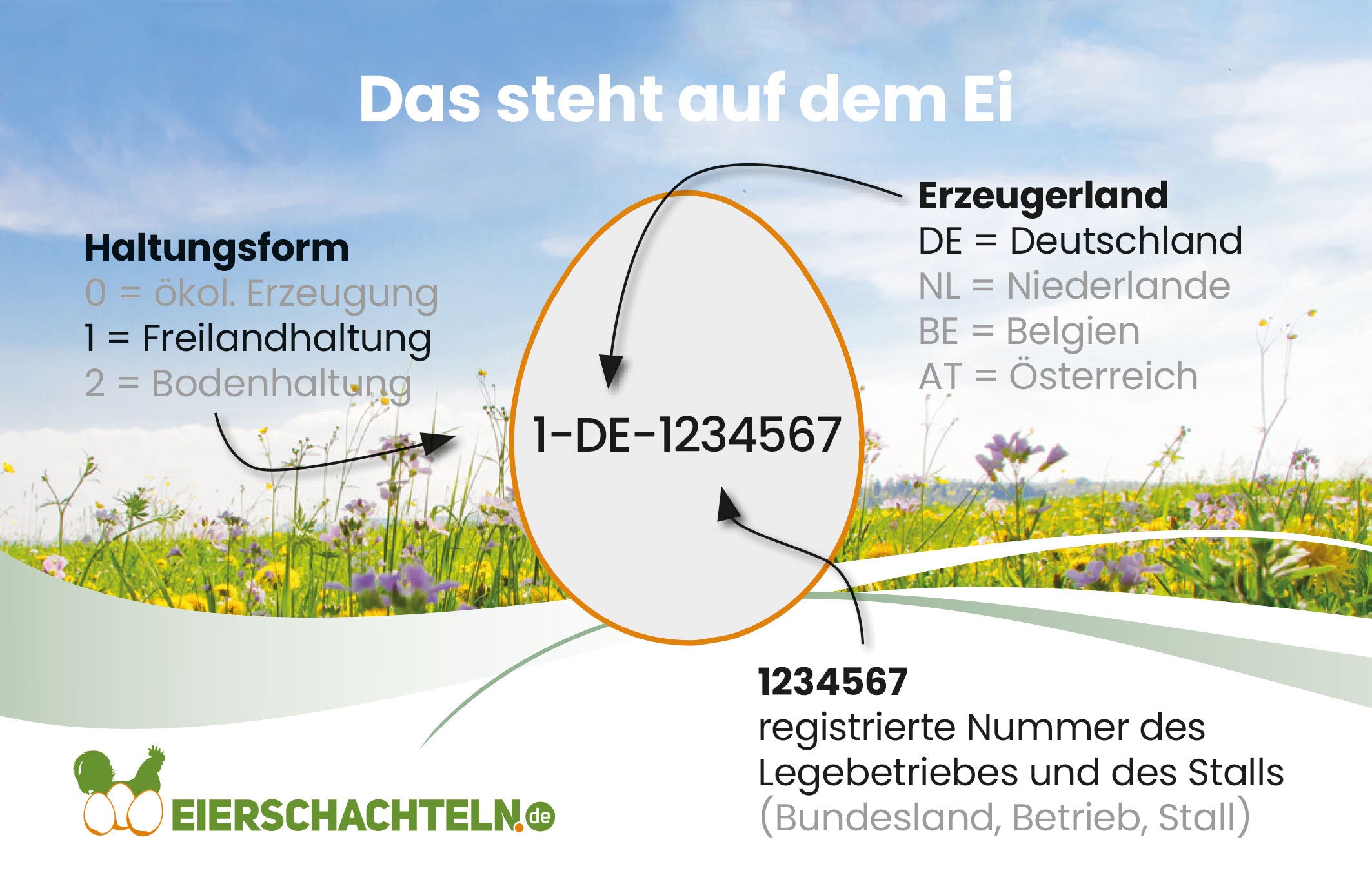 Karten mit Erzeugercode-Erklärung in drei Varianten