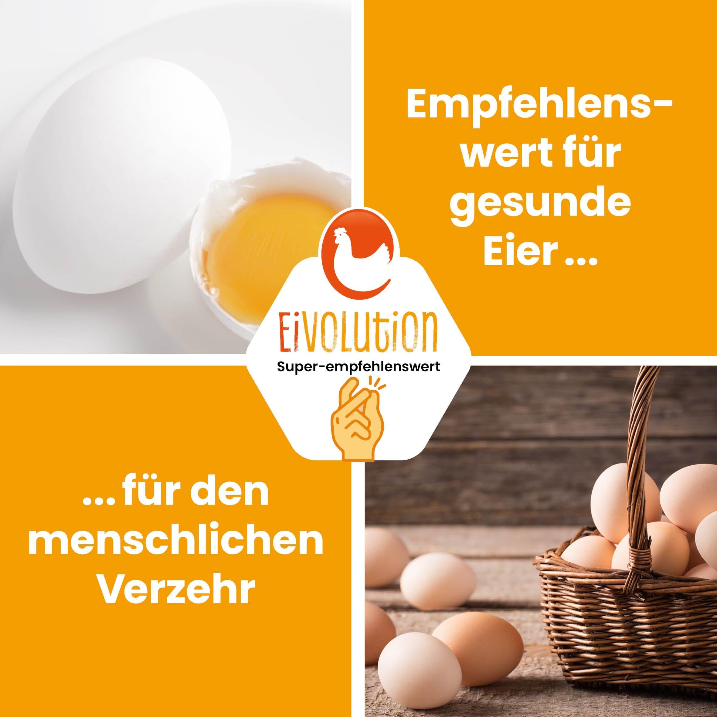 Natürliche Bierhefe 800 g, biotauglich als Einzelfuttermittel für Geflügel