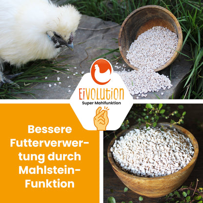 Kalkgrit "Bessere Futterverwertung durch Mahlstein-Funktion"