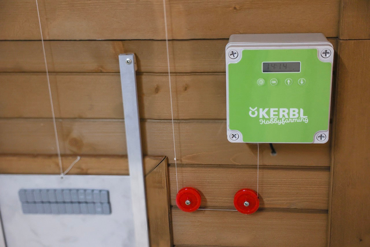 Automatische Hühnerklappe