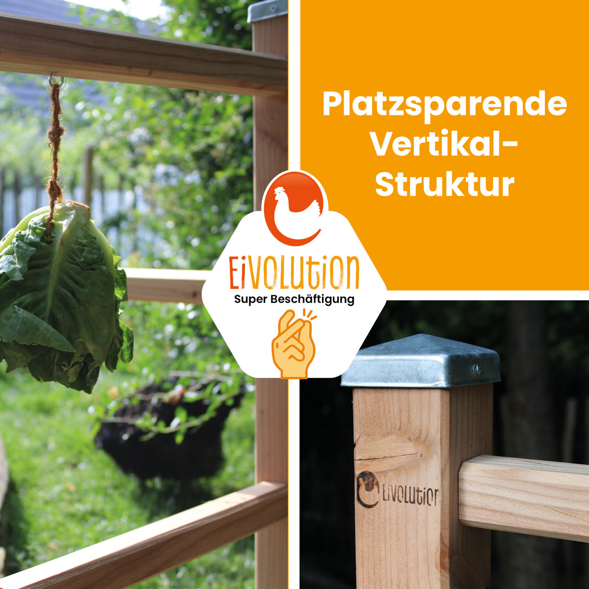 Hühner Kletterturm mit Sitzstangen – Abwechslung auf mehreren Ebenen