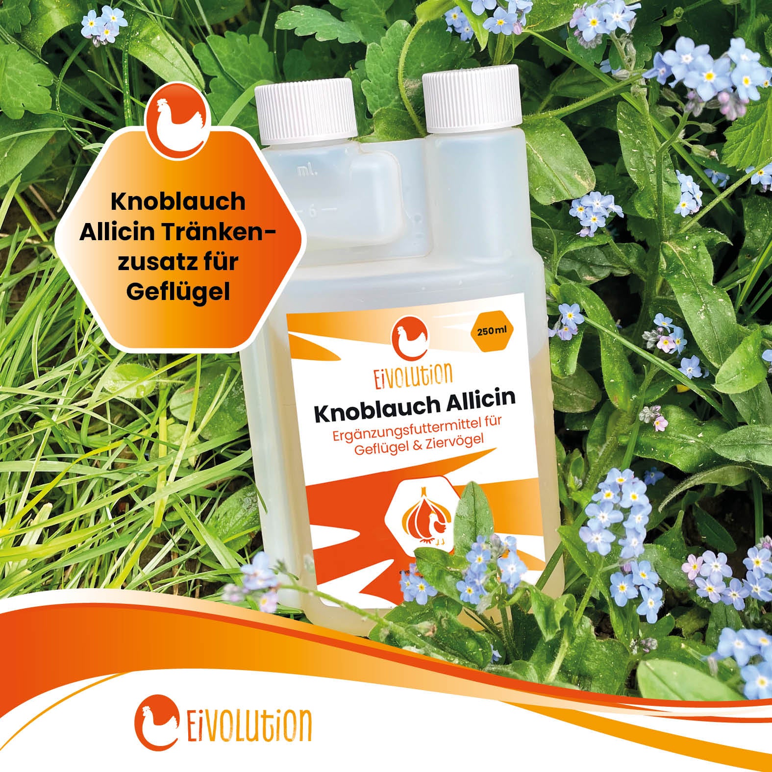 "Eivolution Knoblauch Allicin Tränkenzusatz für Geflügel", eivolution 