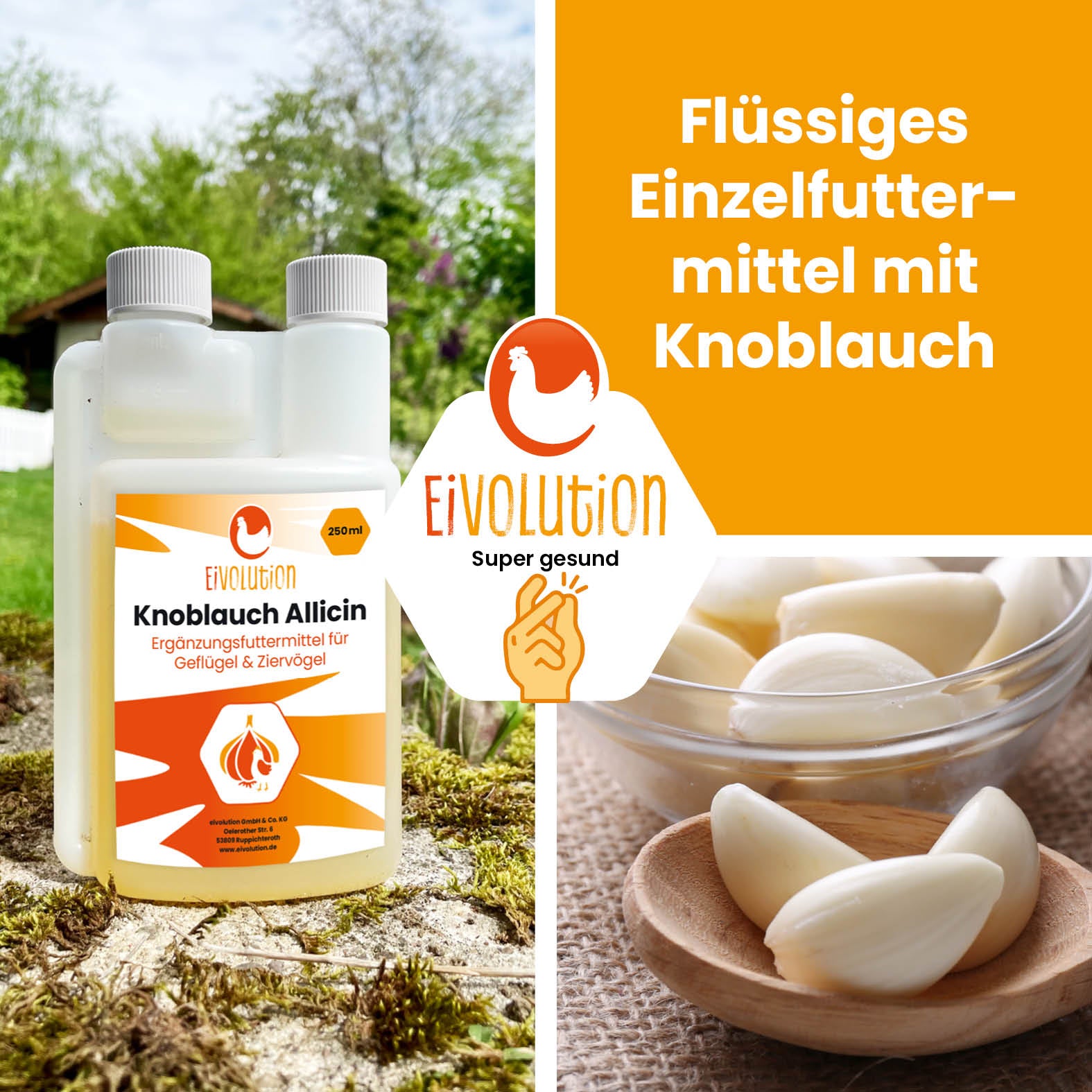 Eivolution Knoblauch Allicin Tränkenzusatz für Geflügel "Flüssiges Einzelfuttermittel mit Knoblauch" 