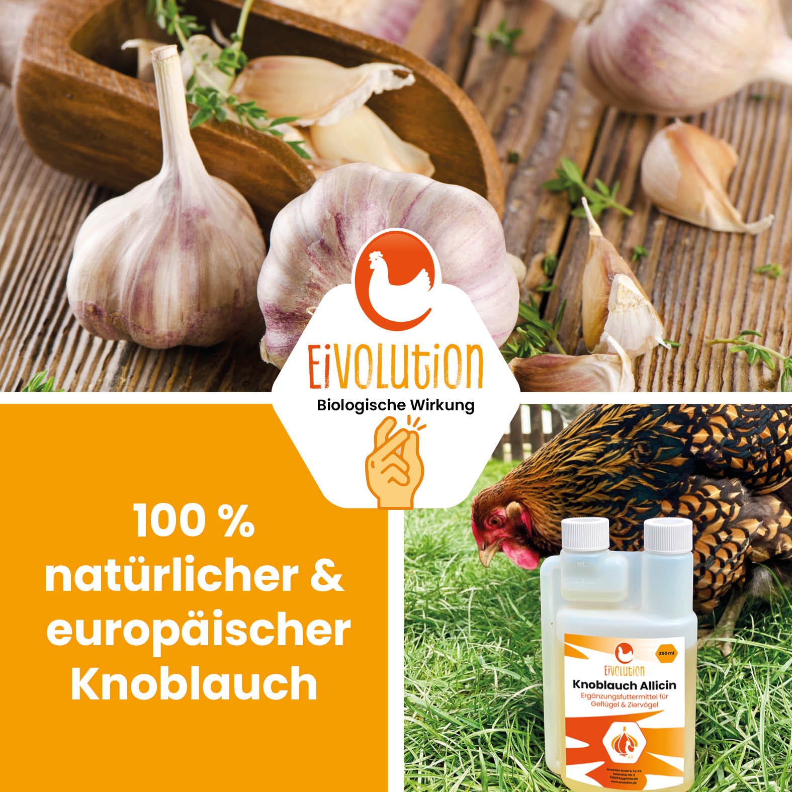 Eivolution Knoblauch Allicin Tränkenzusatz für Geflügel "100% natürlicher &amp; europäischer Knoblauch" 
