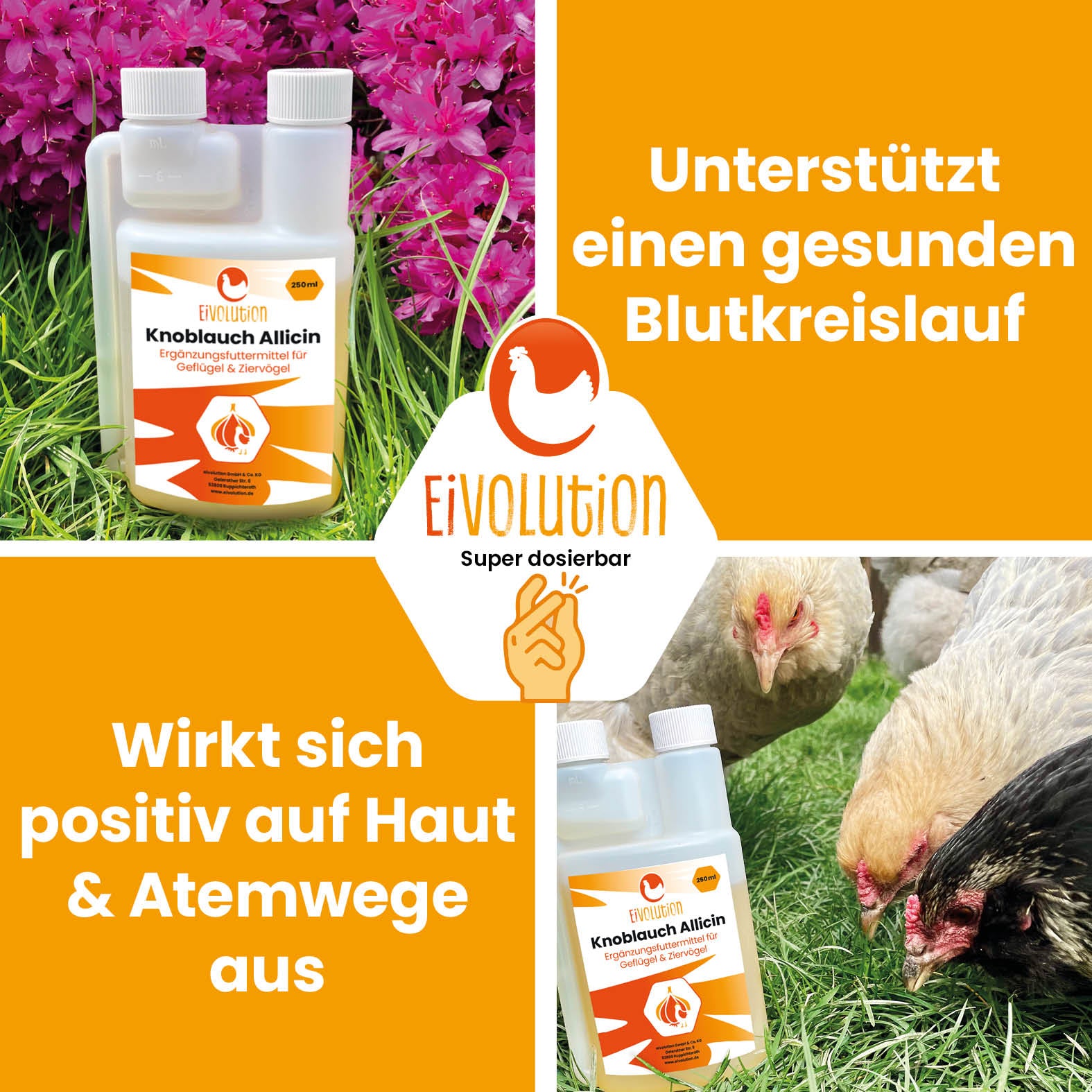 Eivolution Knoblauch Allicin Tränkenzusatz für Geflügel "Unterstützt einen gesunden Blutkreislauf Wirkt sich positiv auf Haut &amp; Atemwege aus" 