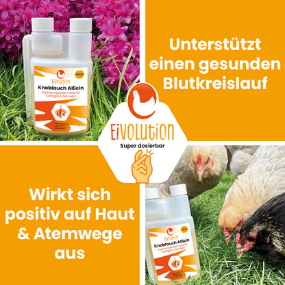Eivolution Knoblauch Allicin Tränkenzusatz für Geflügel "Unterstützt einen gesunden Blutkreislauf Wirkt sich positiv auf Haut &amp; Atemwege aus" 